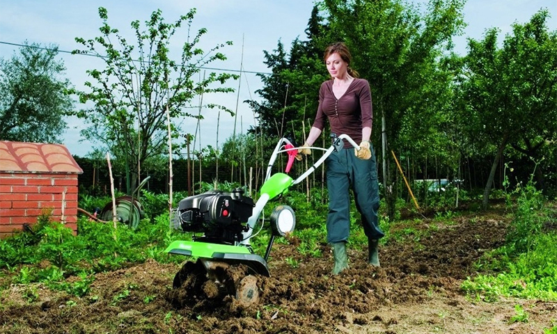 How to choose a motor cultivator