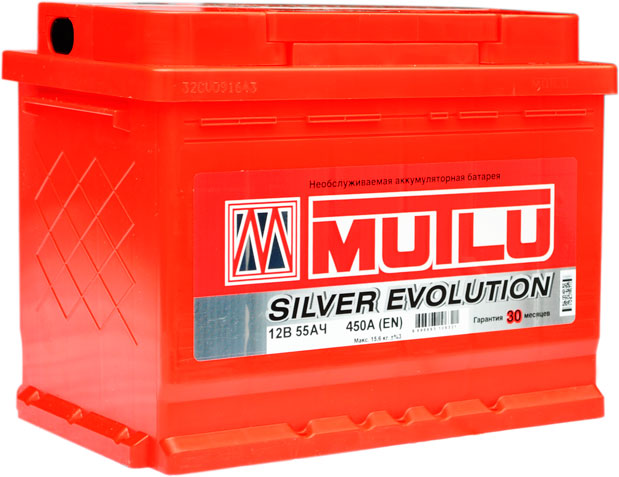 Multi Silver Evolution 55 450.jpg1