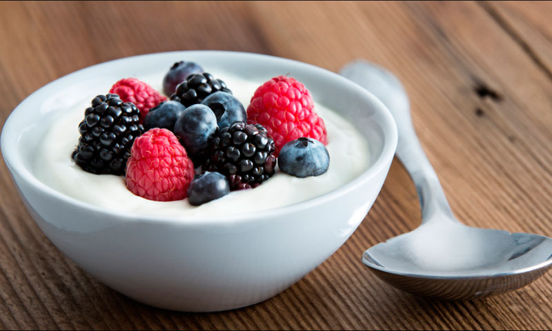 The principle of operation and device yogurt