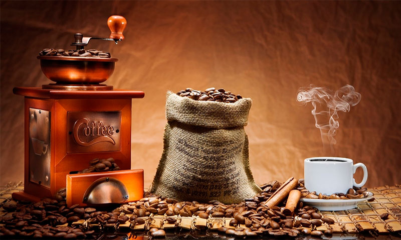 What coffee grinder to choose