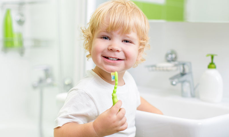 كم تكلفة فرشاة الأسنان؟