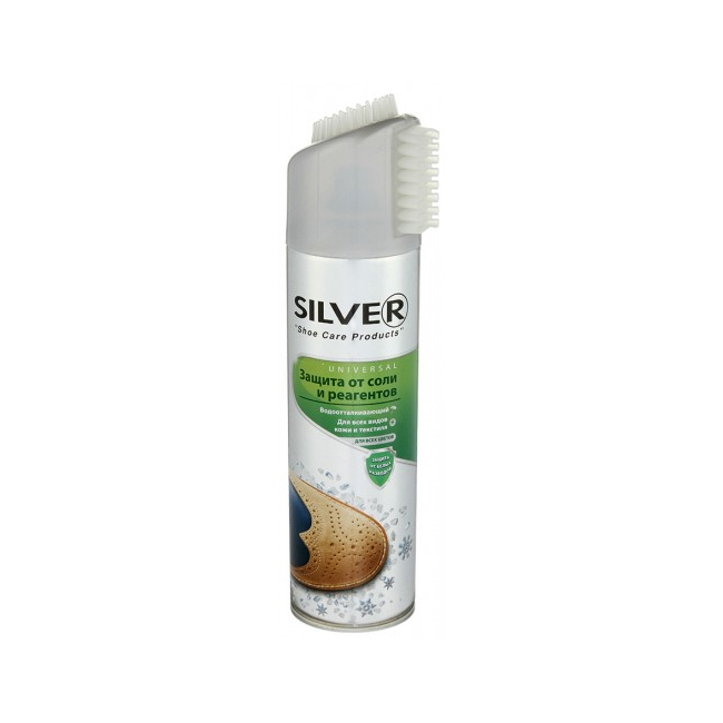 SILVER PREMIUM 250 ml - a handy kit with a brush