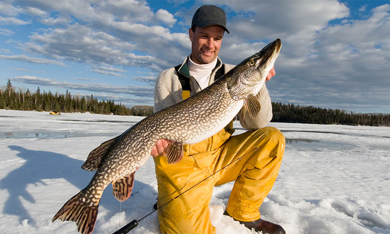 Canne à pêche d'hiver avec AliExpress