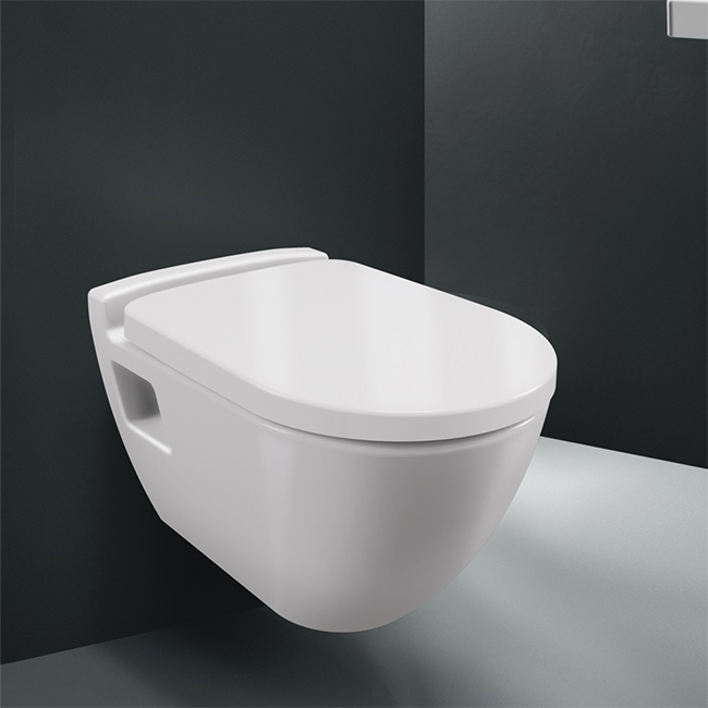 Grohe Solido 39186000 - economical and comfortable wall-mounted toilet with installation