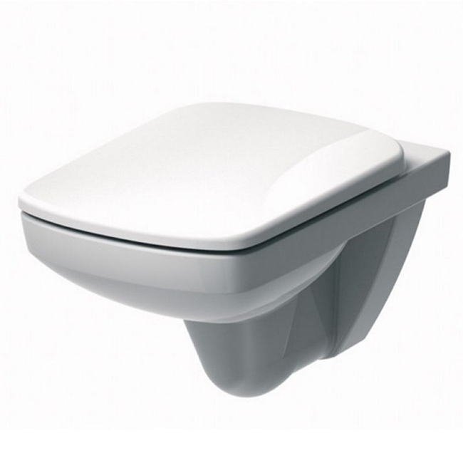 Ifo Special RP731100100 - a practical wall mounted toilet for people with disabilities