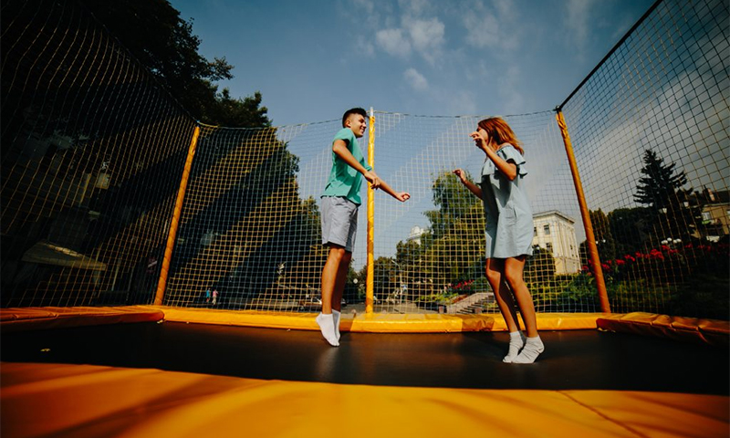 Het werkingsprincipe en de apparaat-trampoline
