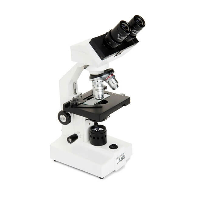 Celestron LABS CB2000CF - le meilleur microscope binoculaire léger